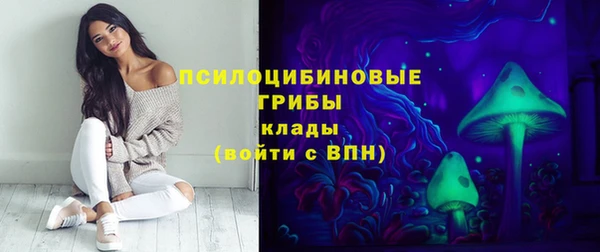 ALPHA PVP Медвежьегорск