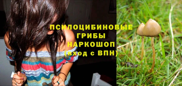 ALPHA PVP Медвежьегорск