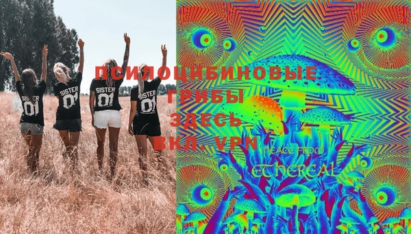 винт Мегион